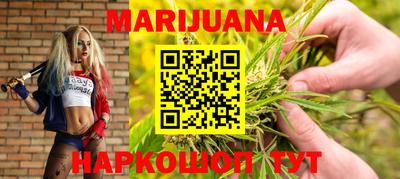 гидропоника Пенза