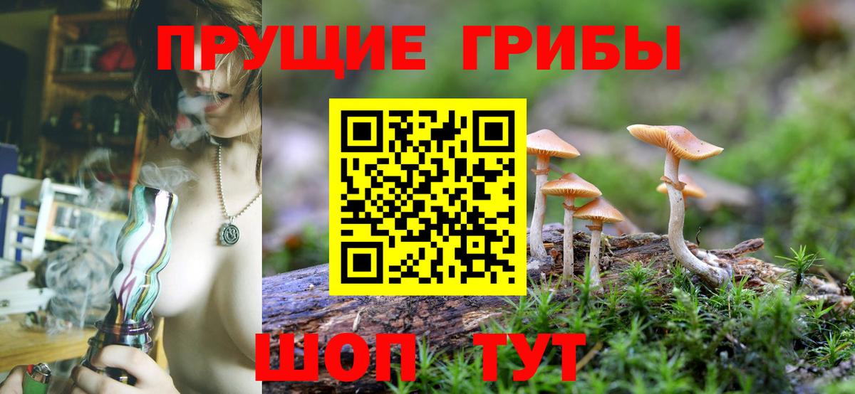 Печора  магазин  наркотиков  Вход с VPN  Галлюциногенные грибы Psilocybe 